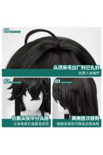 1/3 Delusion Honkai Star Rail Dan Feng Cosplay Wig
